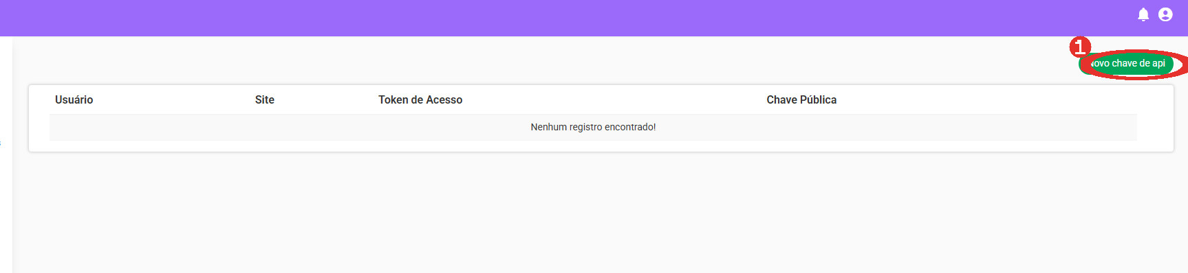 Passo 2: Clique em «Novo chave de api»