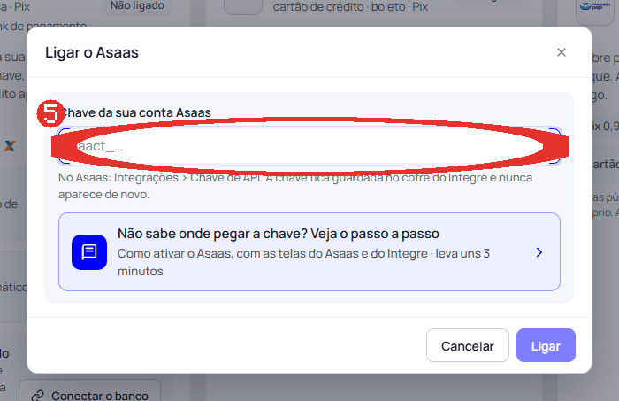 Passo 5: Cole a chave e clique em Ligar