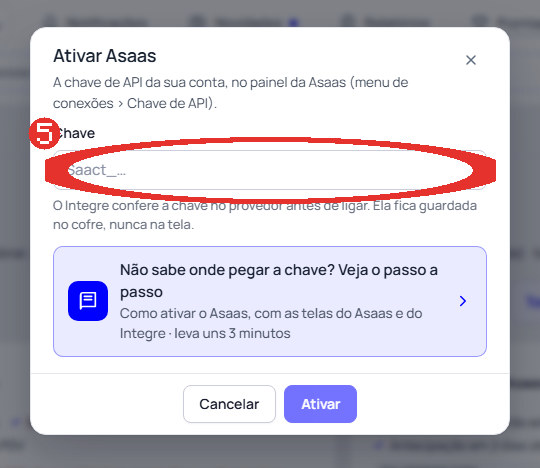 Passo 5: Cole a chave e clique em Ativar