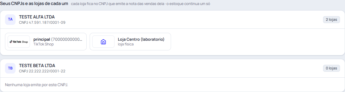 Passo 10: Veja os seus CNPJs e as lojas de cada um