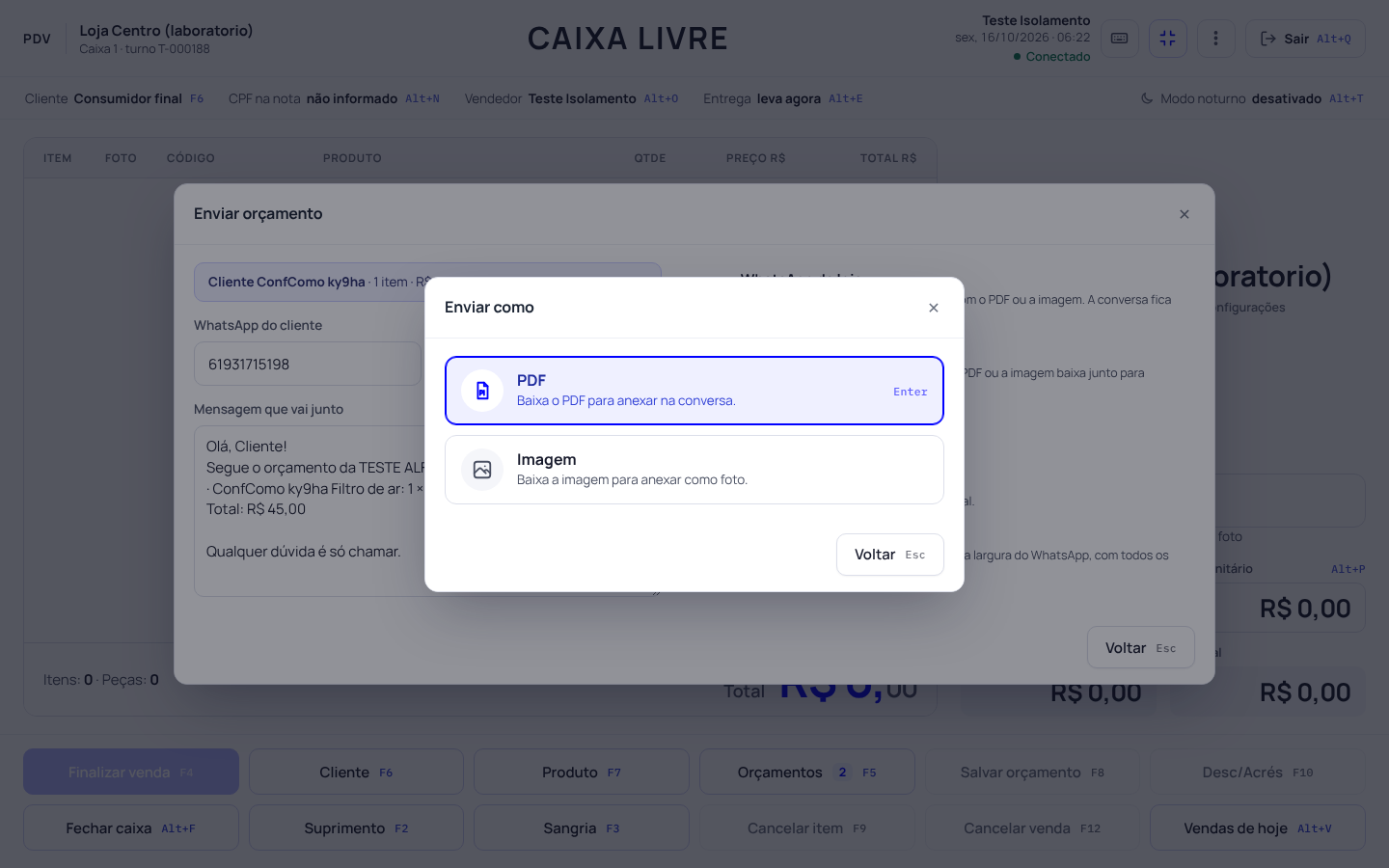 Passo 4: PDF ou imagem